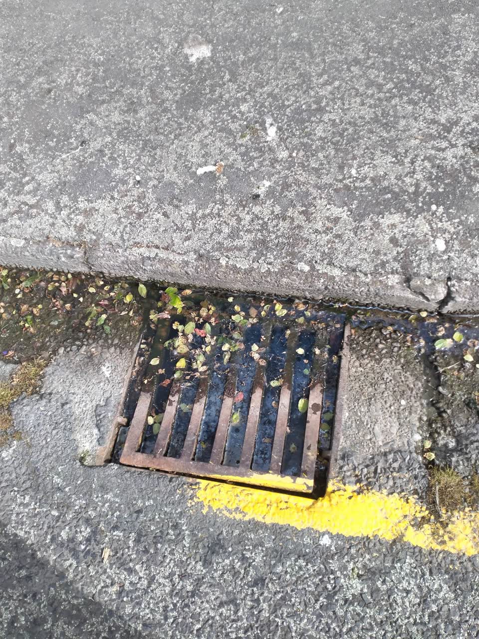 The photograph attached to this sewer - leak / blockage report