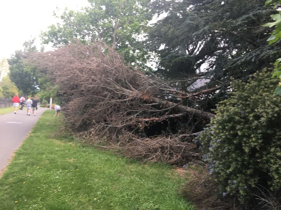 The photograph attached to this parks report