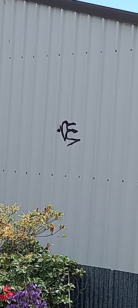 Graffiti, a report photo