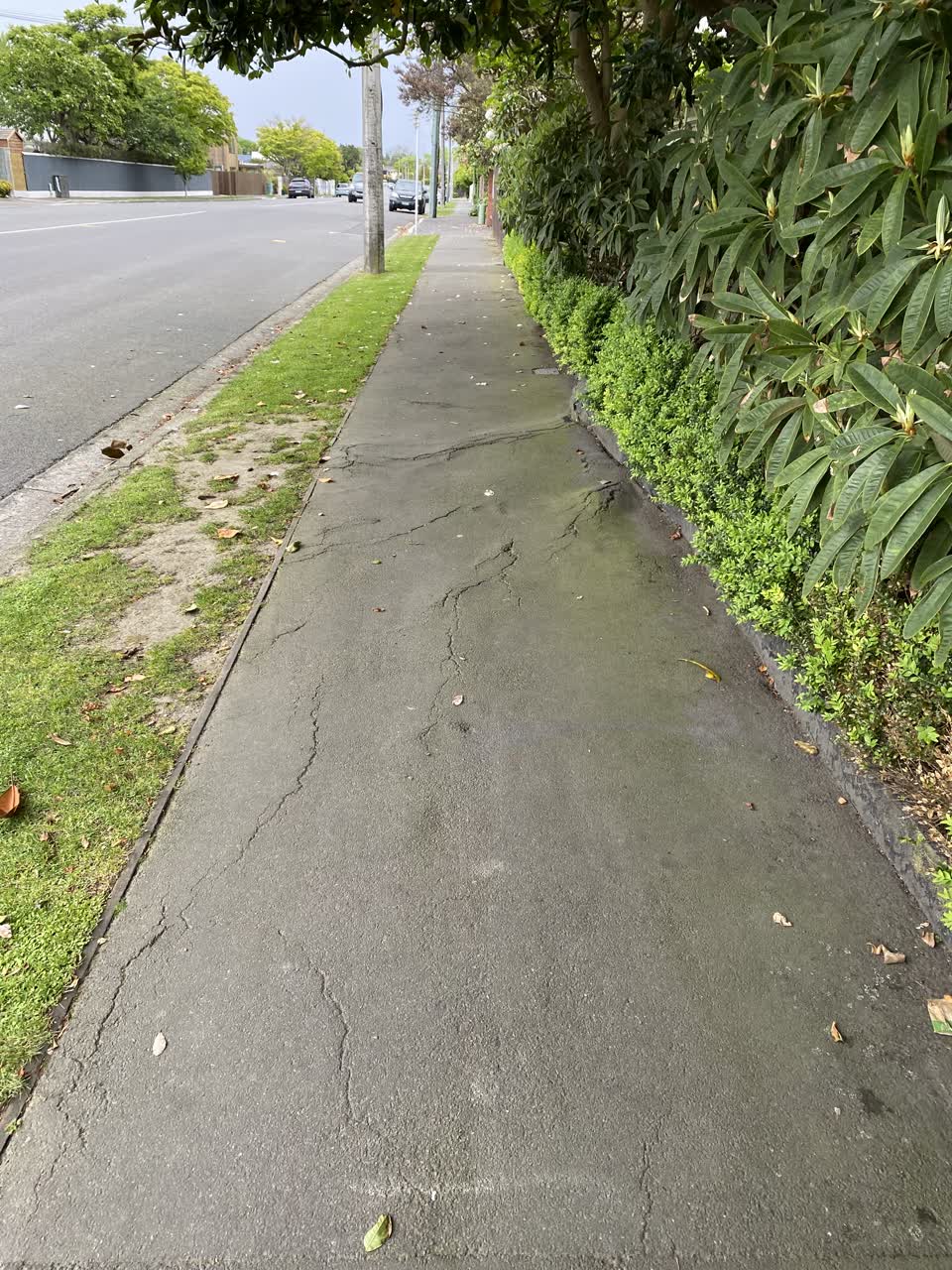 The photograph attached to this roading/streets report