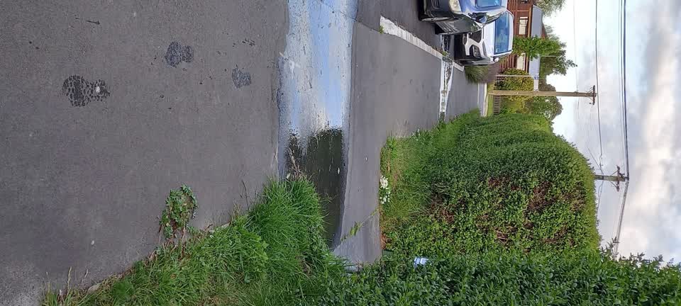The photograph attached to this water leak report