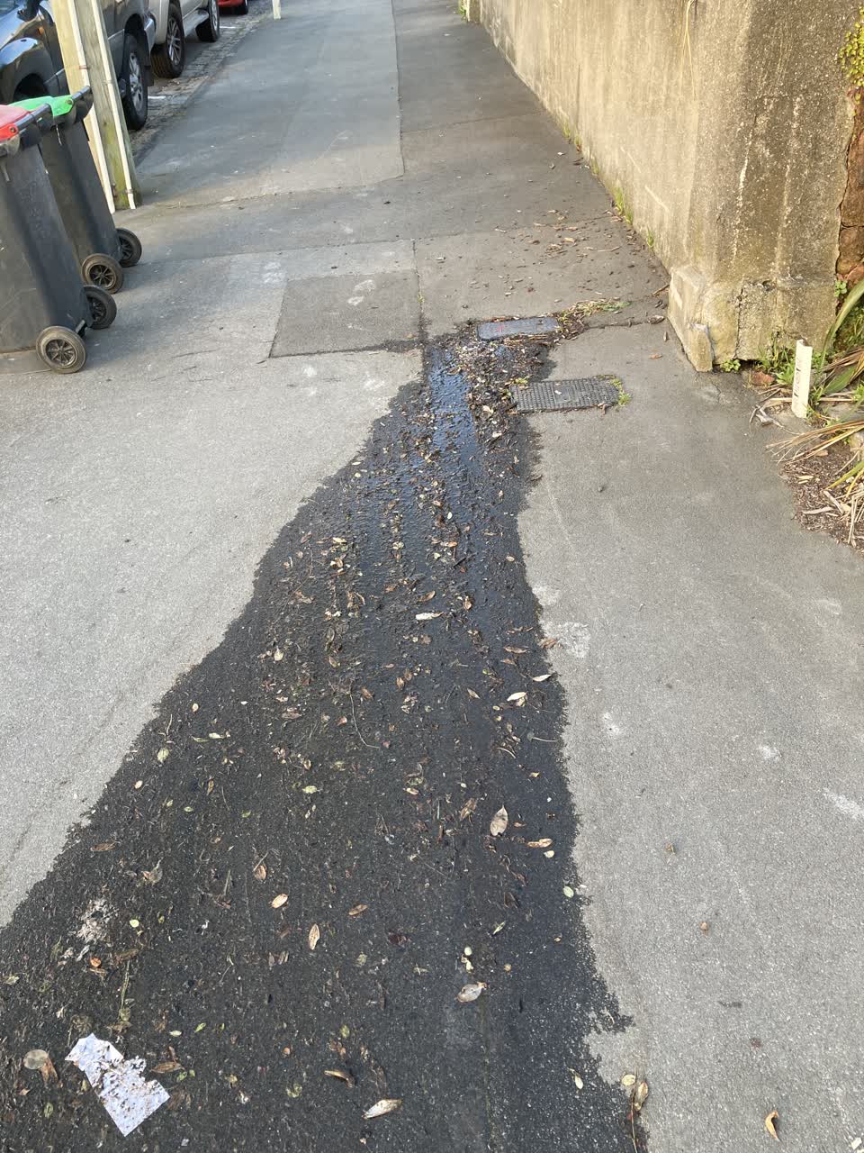 The photograph attached to this water leak report