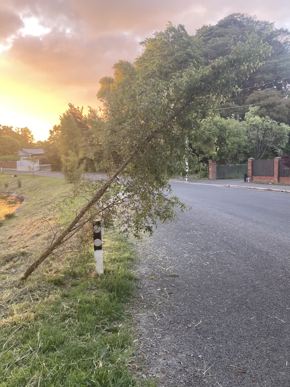 The photograph attached to this parks report