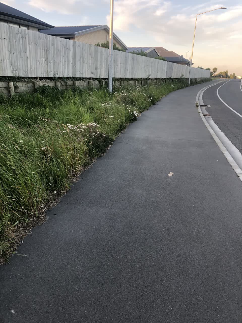 The photograph attached to this parks report