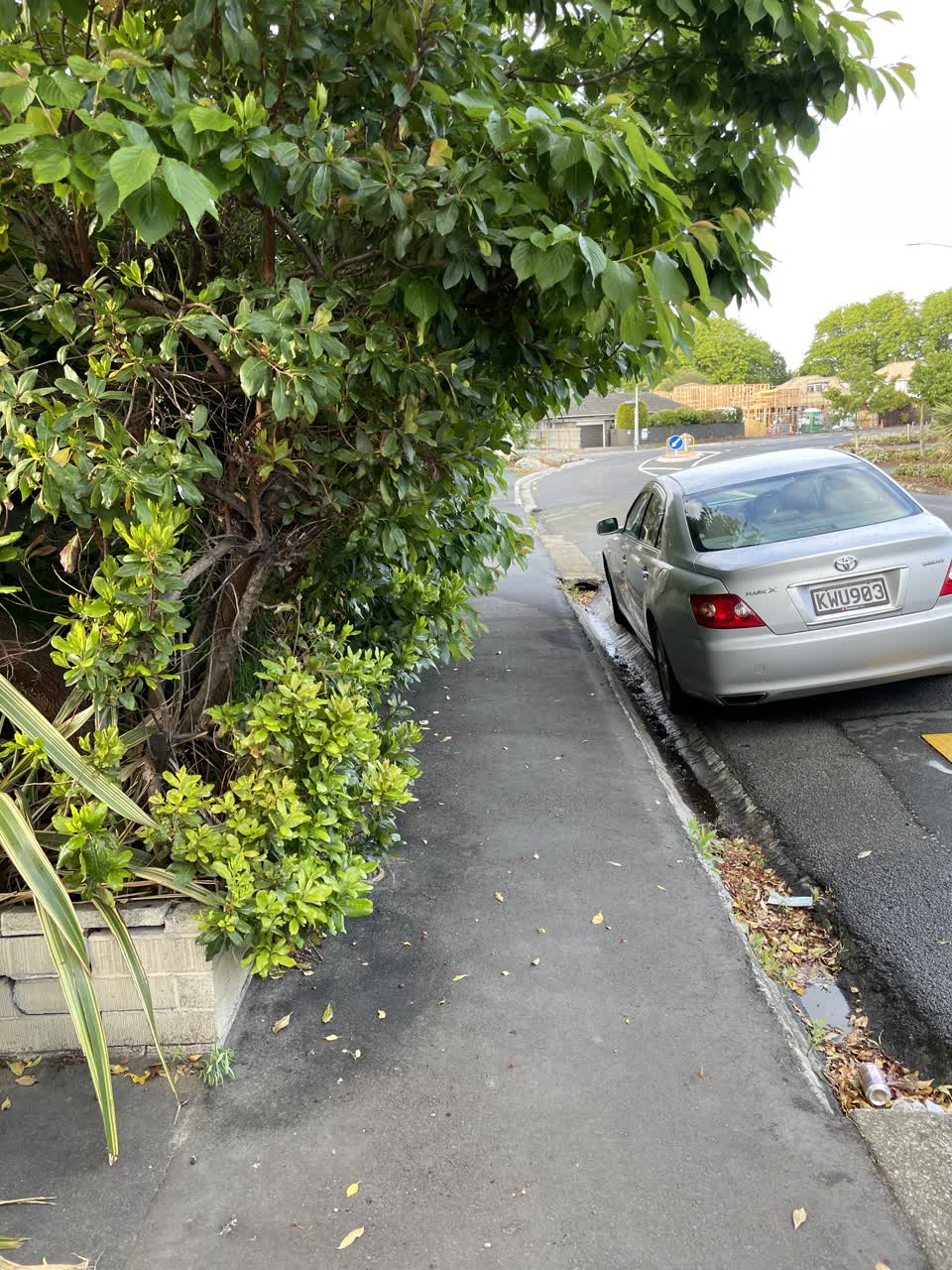 The photograph attached to this roading/streets report