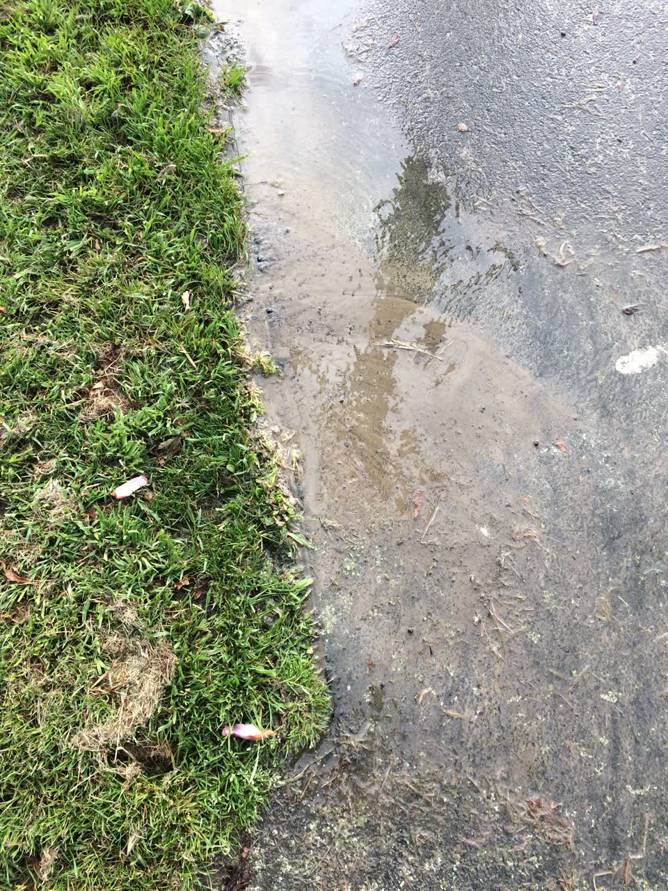 The photograph attached to this water leak report