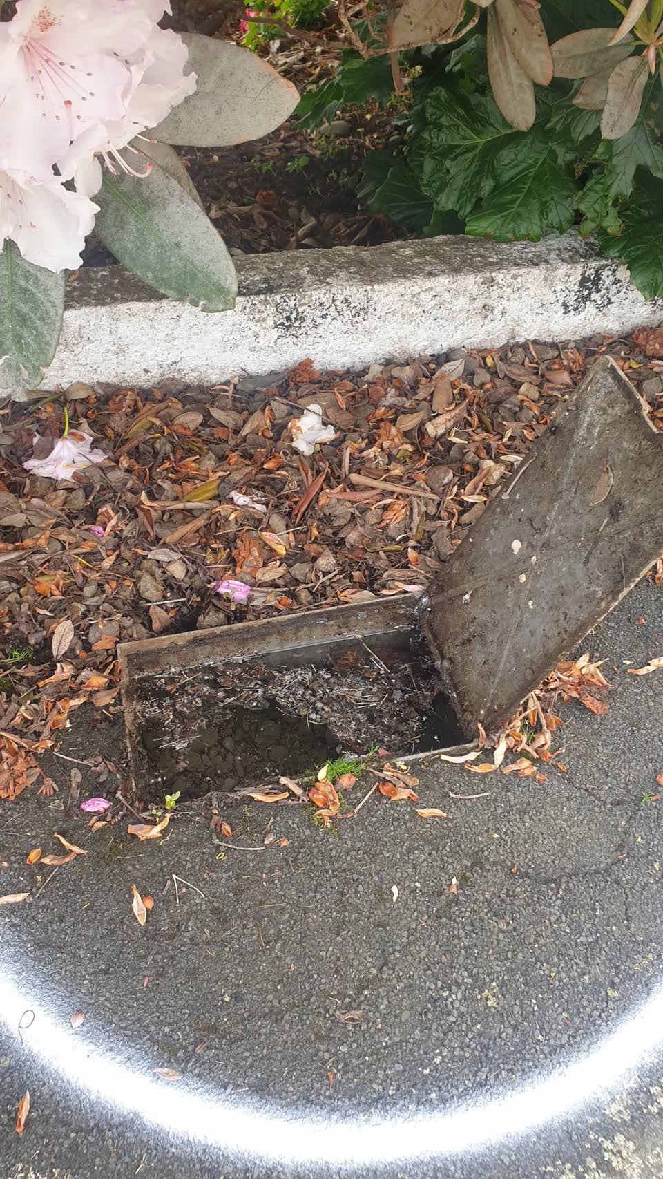 The photograph attached to this water leak report