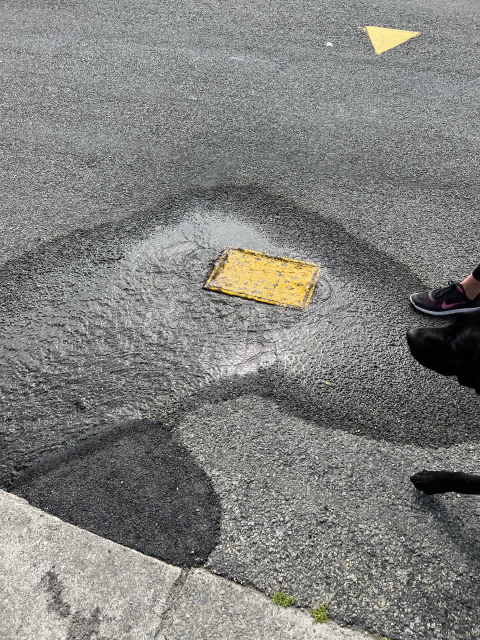The photograph attached to this water leak report