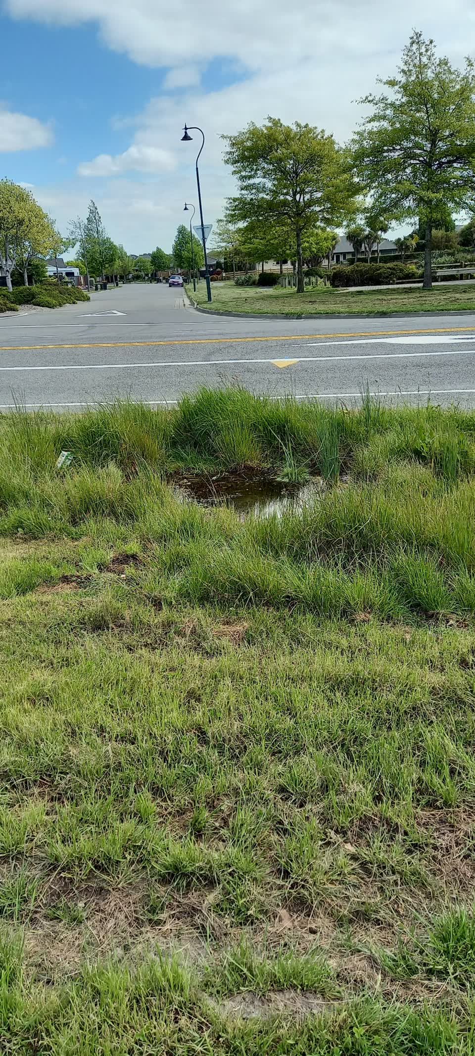 The photograph attached to this water leak report