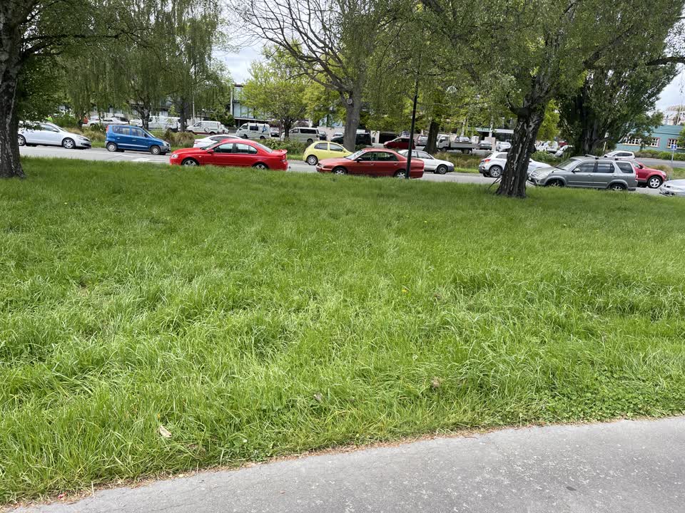 The photograph attached to this parks report