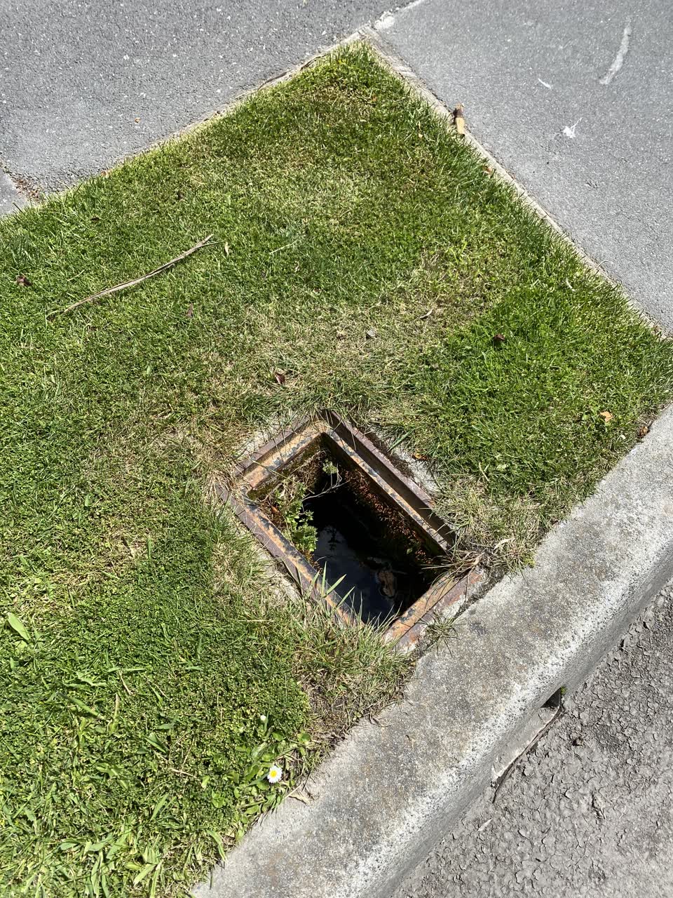 The photograph attached to this water supply report
