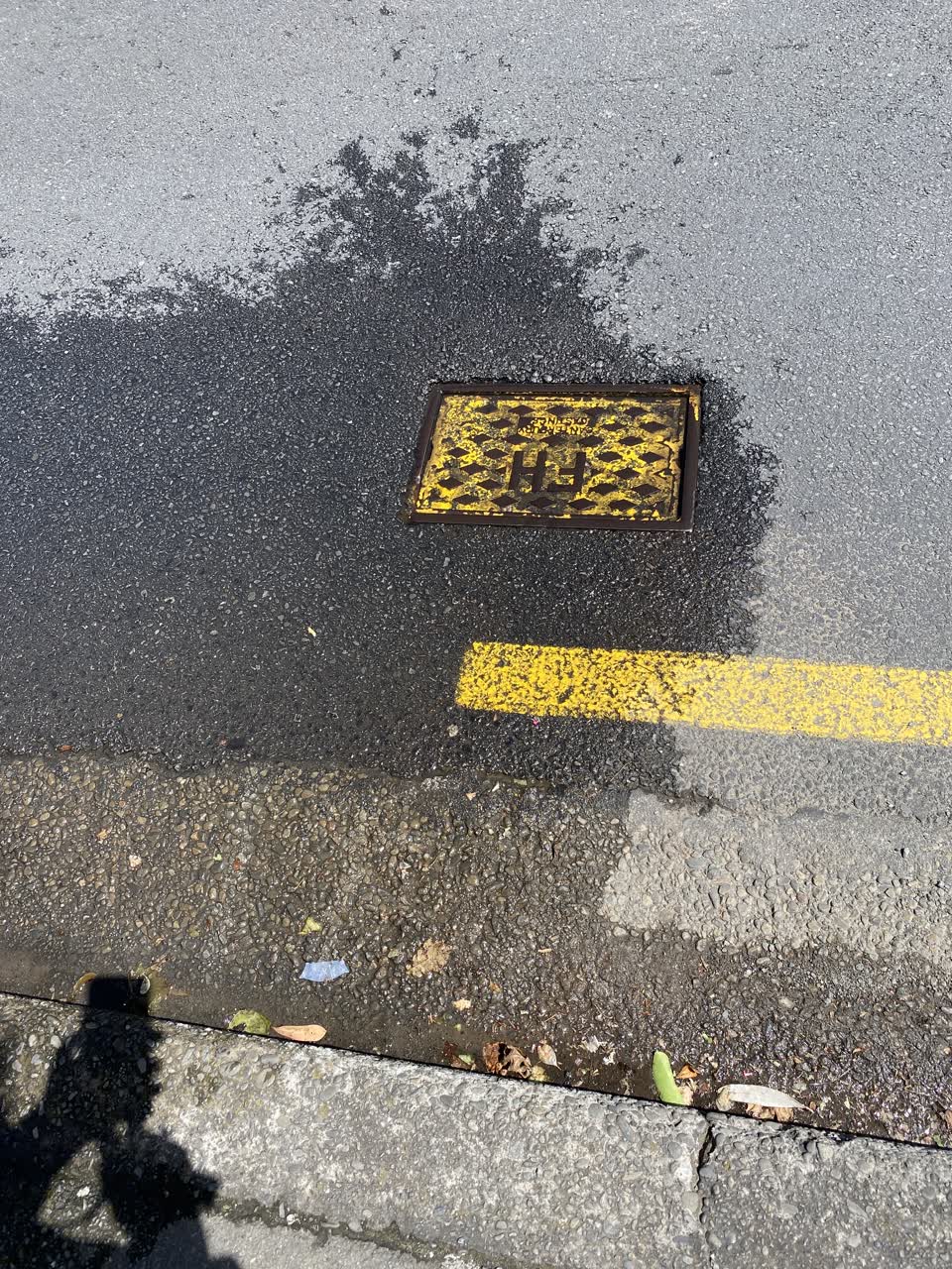 The photograph attached to this water leak report