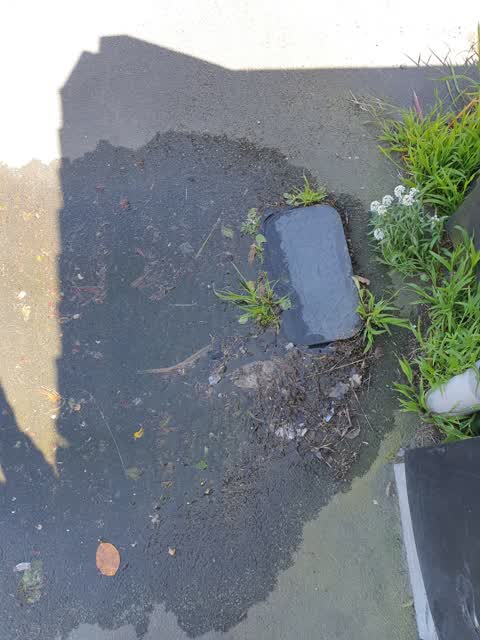 Water Leak, a report photo