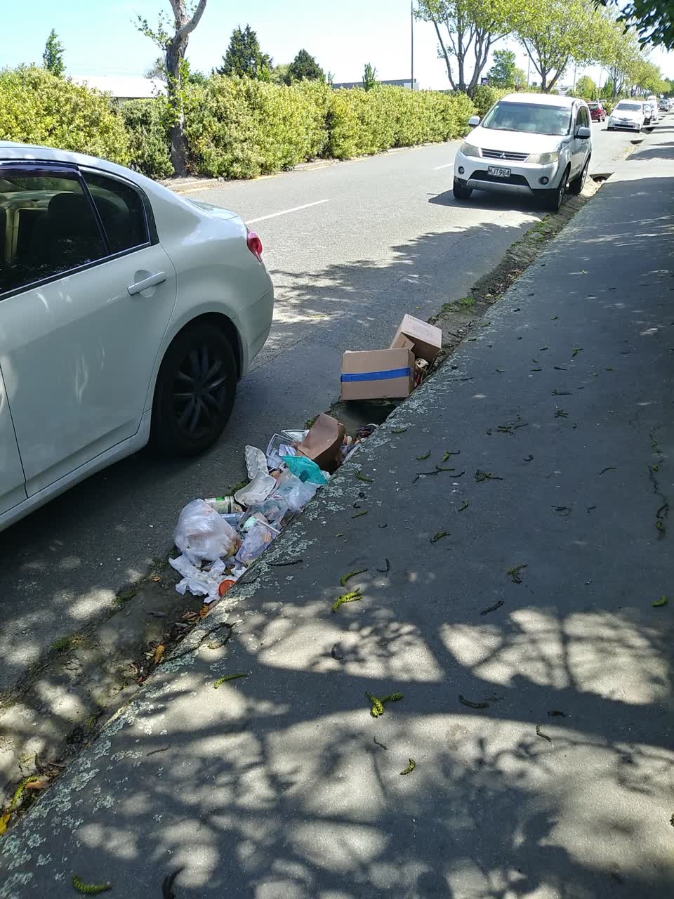The photograph attached to this rubbish/recycling report