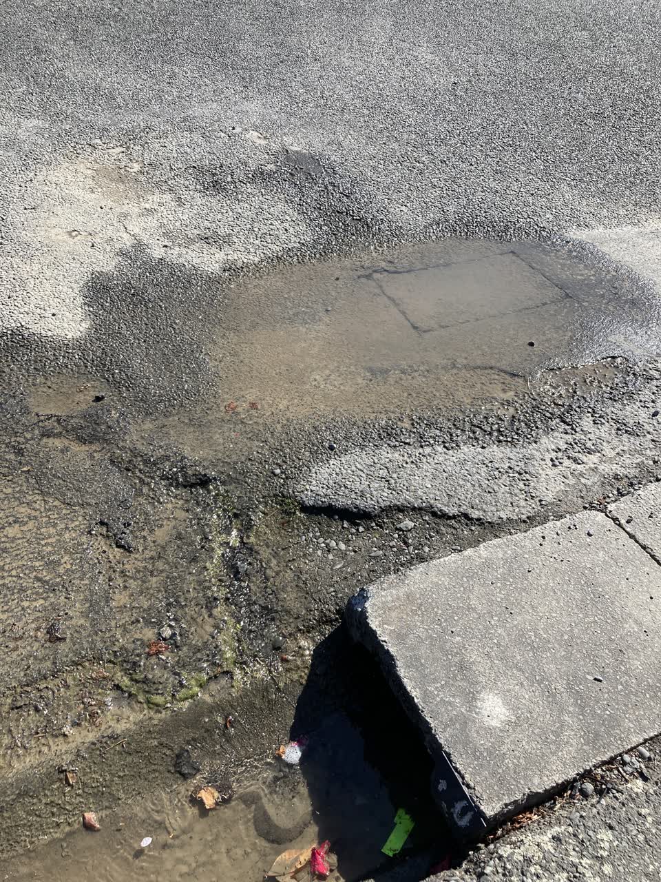 The photograph attached to this roading/streets report