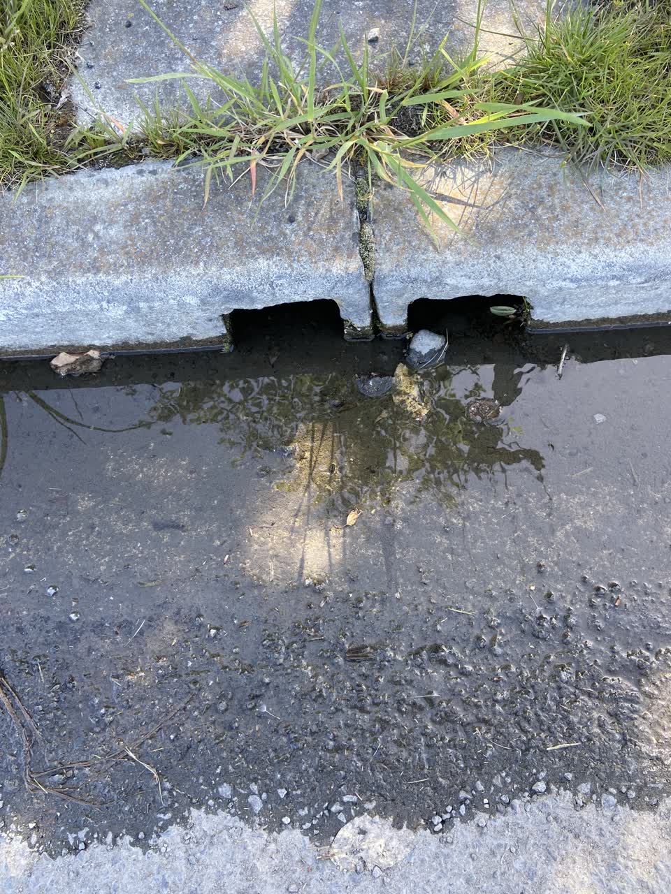 The photograph attached to this water leak report