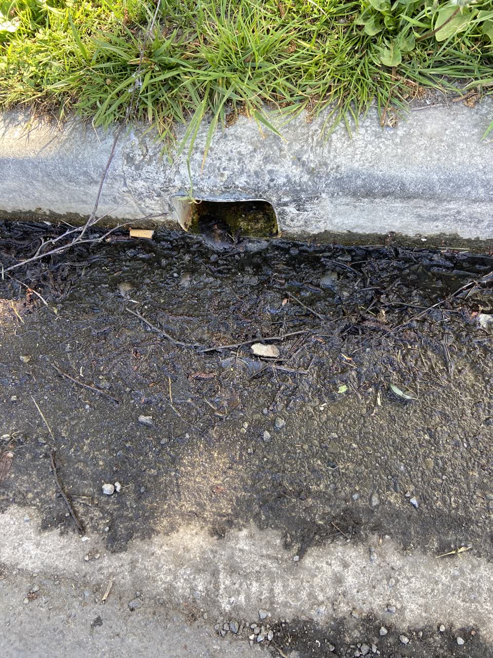 The photograph attached to this water leak report