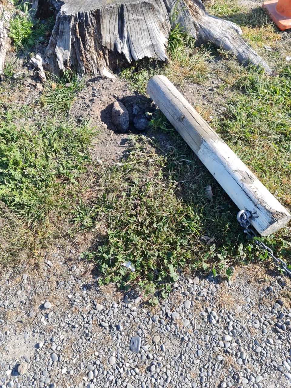 The photograph attached to this parks report