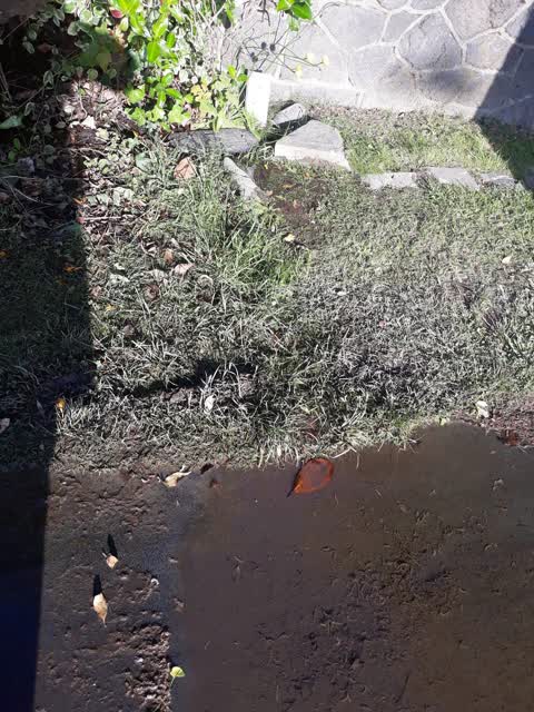 Water Leak, a report photo