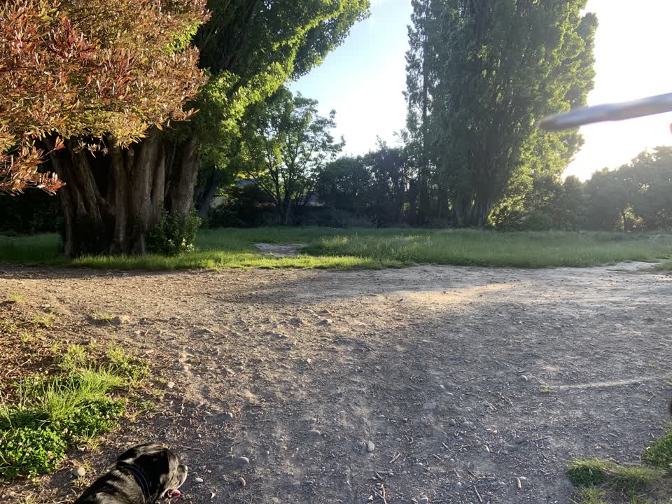 The photograph attached to this parks report