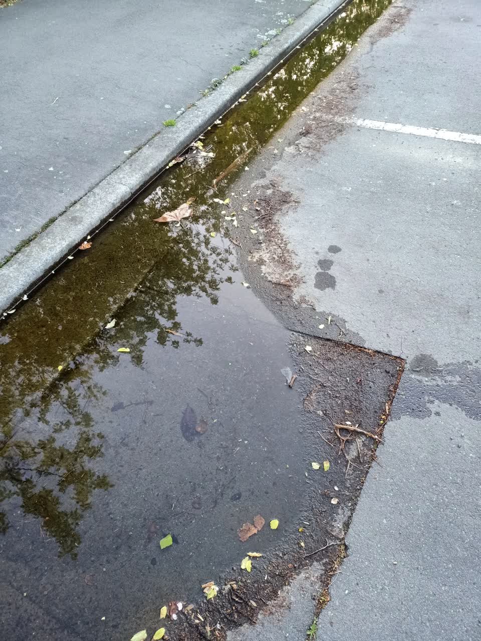 The photograph attached to this water leak report
