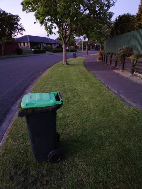 Rubbish/Recycling, a report photo