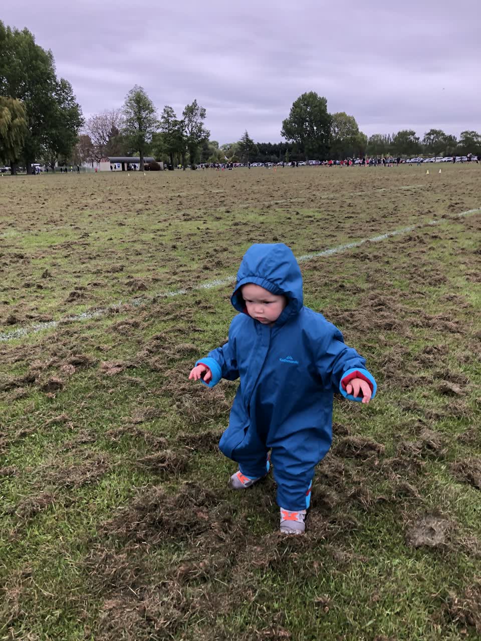 The photograph attached to this parks report