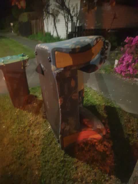 Rubbish/Recycling, a report photo