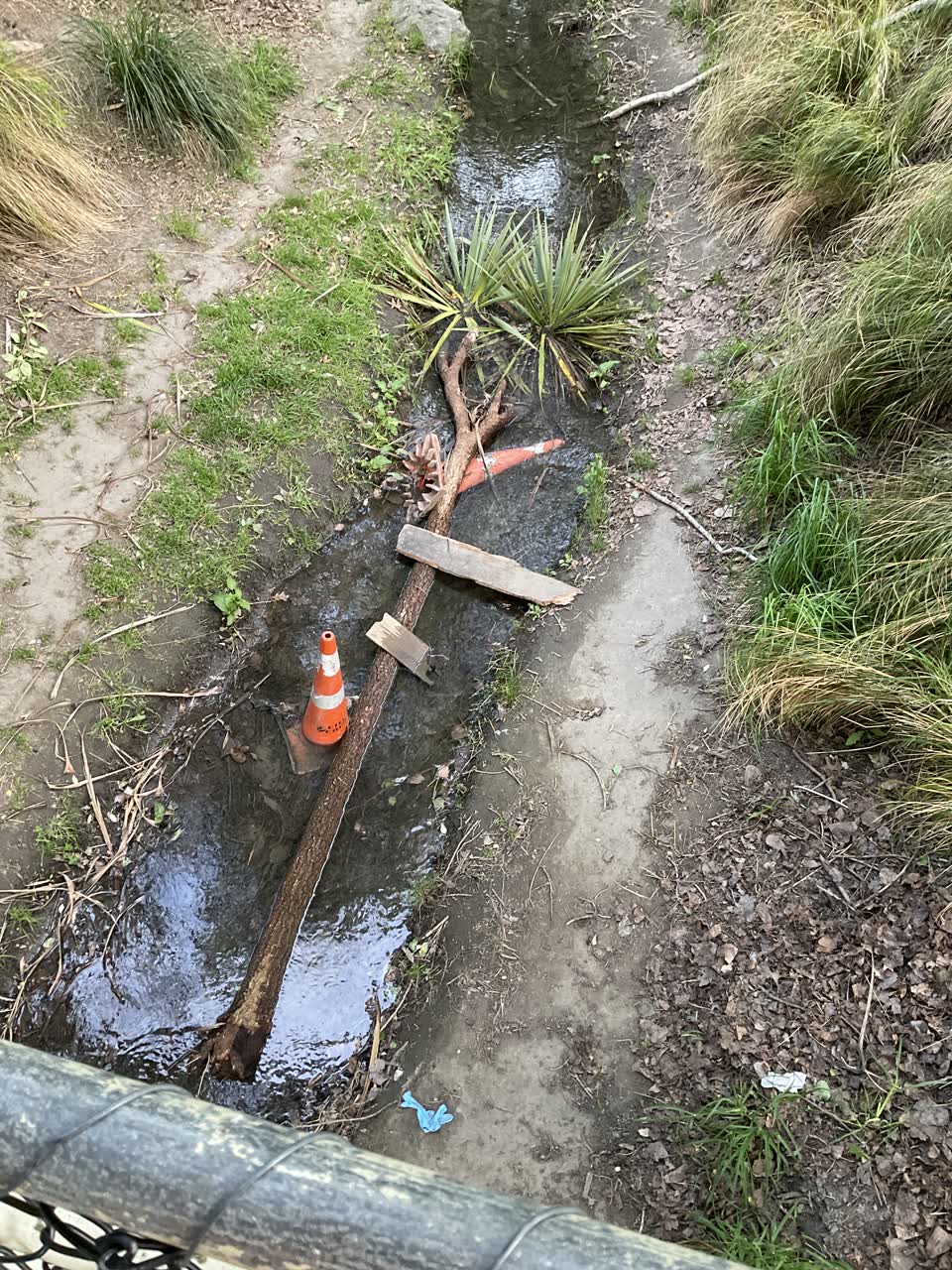 The photograph attached to this parks report