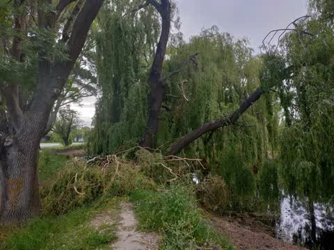 Parks, a report photo