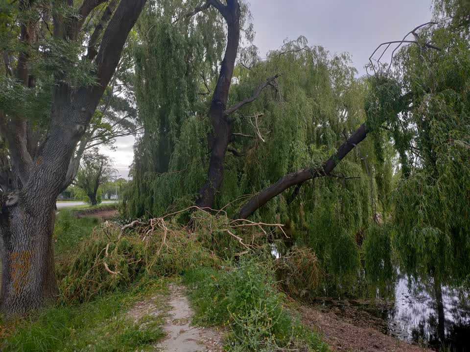 The photograph attached to this parks report