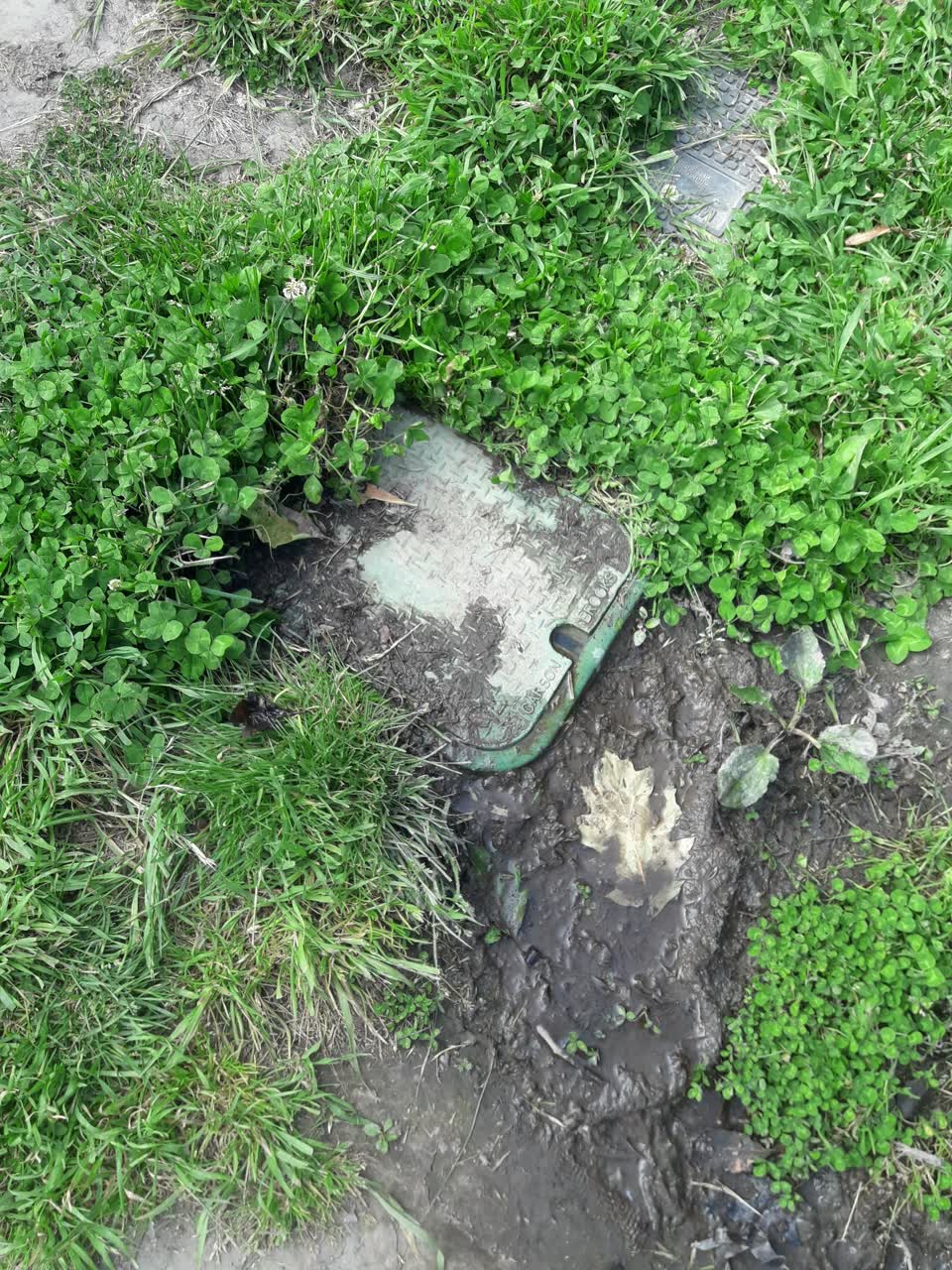 The photograph attached to this water leak report