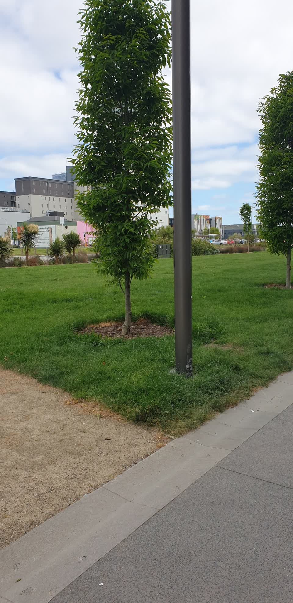 The photograph attached to this parks report