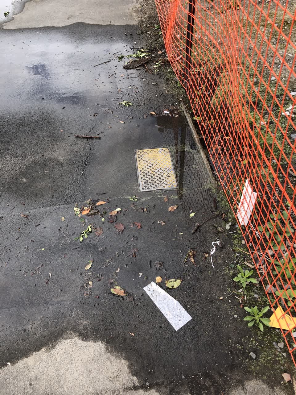 The photograph attached to this water leak report