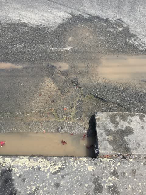 Water Leak, a report photo