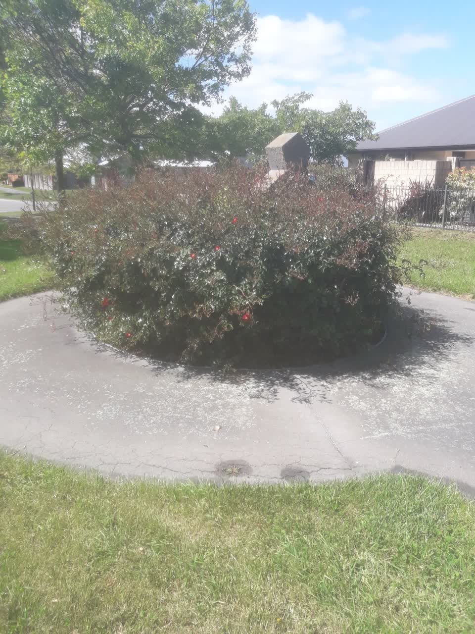 The photograph attached to this parks report