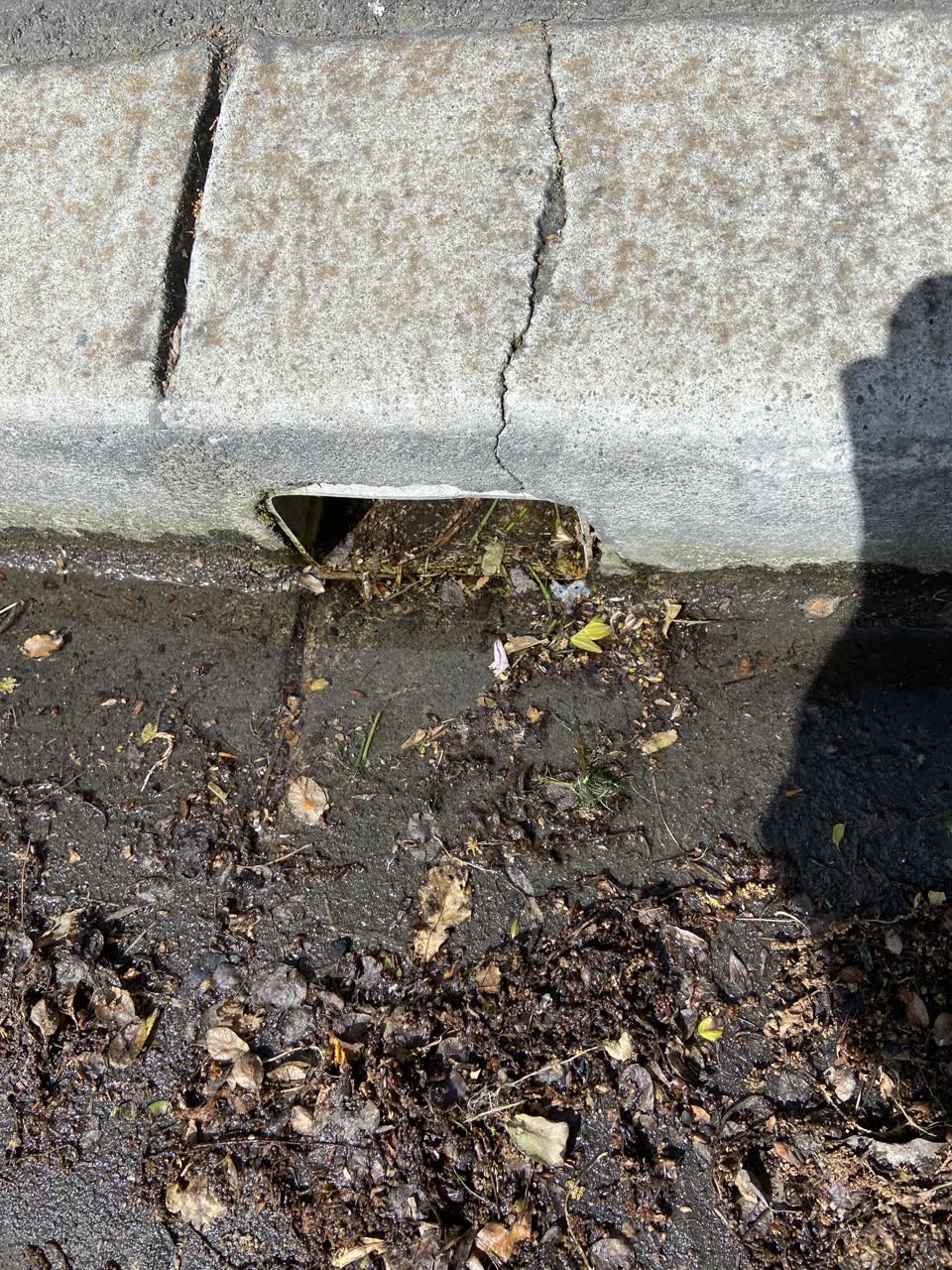 The photograph attached to this water leak report