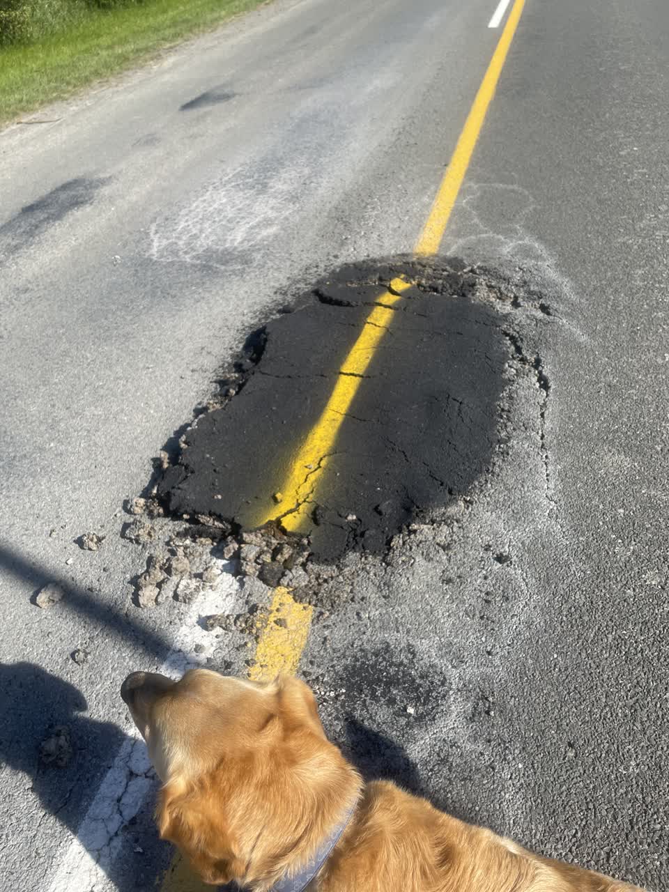 The photograph attached to this roading/streets report