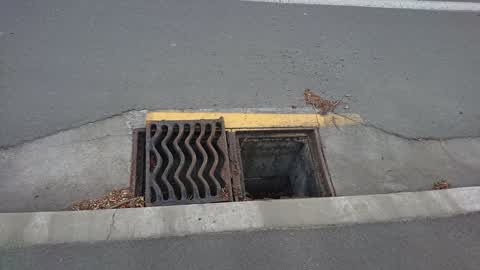 Roading/Streets, a report photo