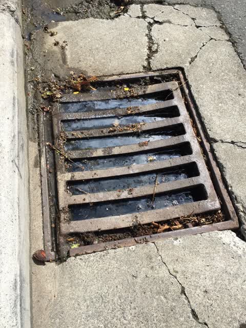 Wastewater/Stormwater, a report photo