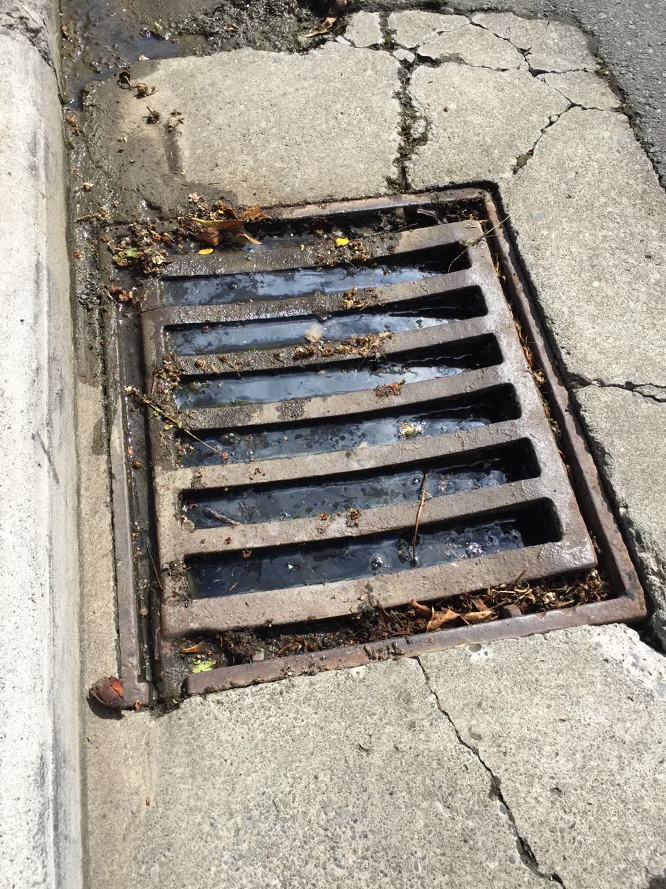 The photograph attached to this wastewater/stormwater report