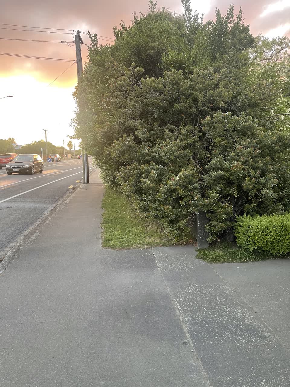 The photograph attached to this roading/streets report