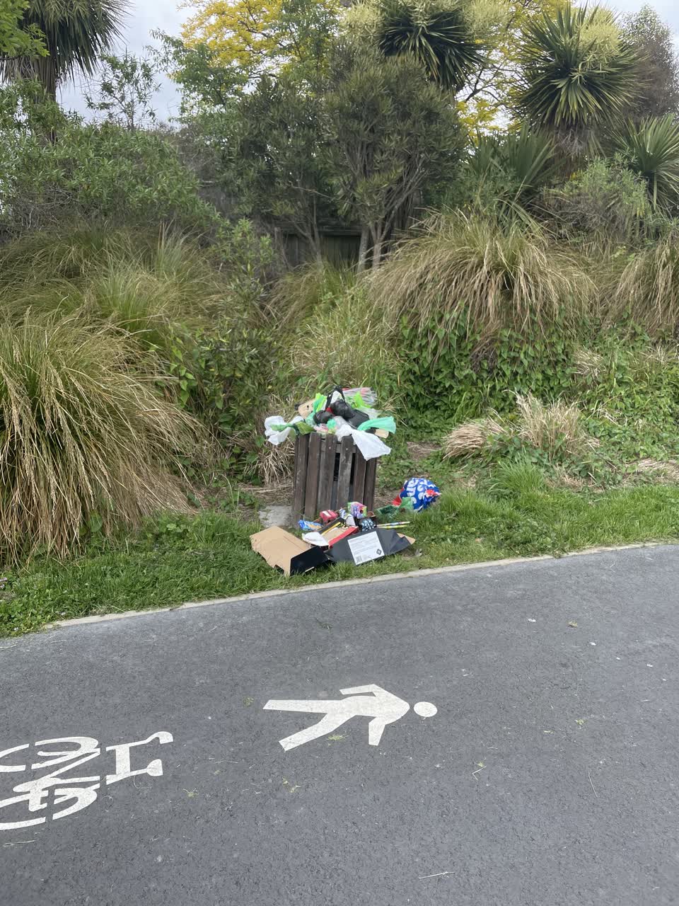 The photograph attached to this parks report