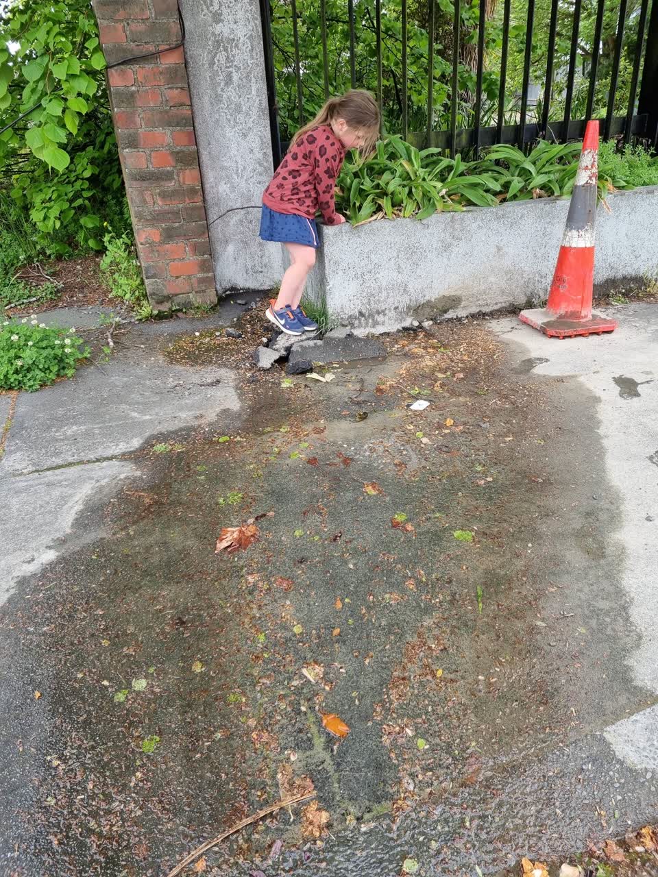 The photograph attached to this water leak report