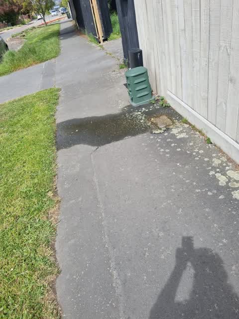 Water Leak, a report photo