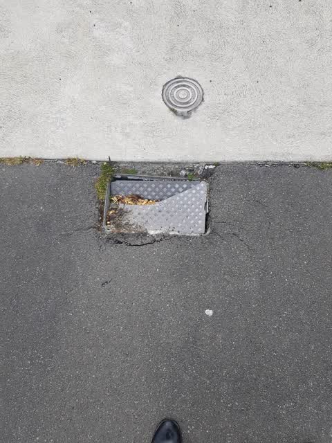 Water Supply, a report photo