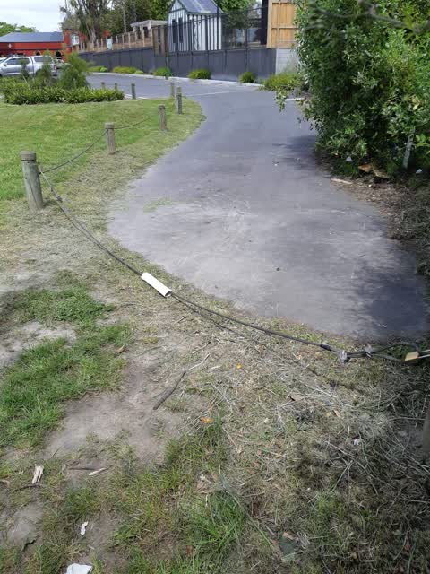 Parks — a report photo