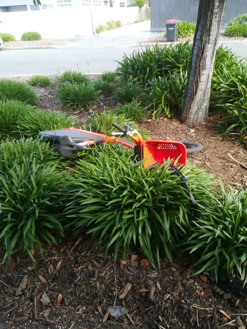 Rubbish/Recycling, a report photo