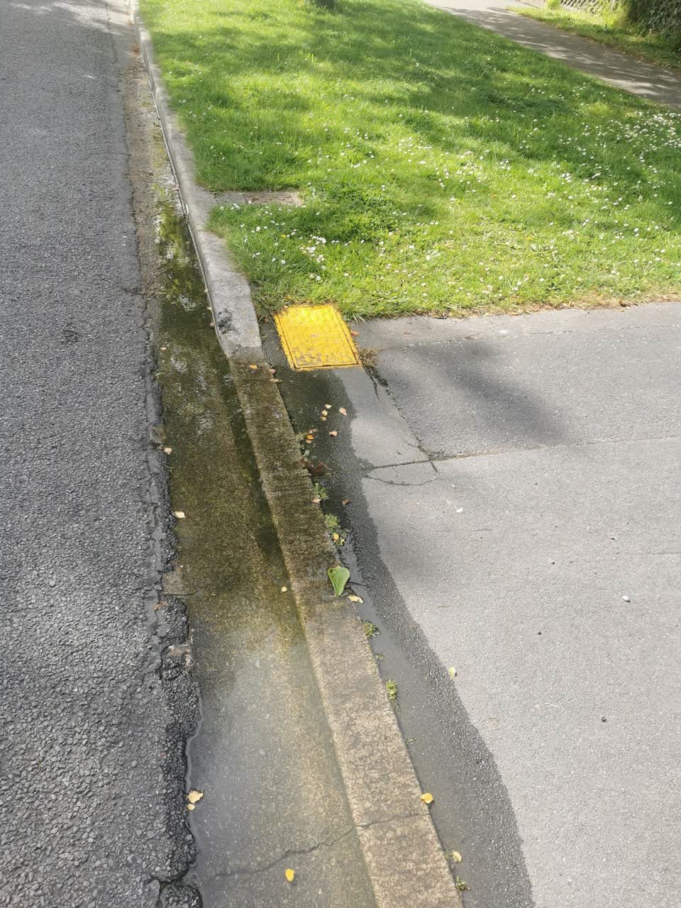 The photograph attached to this water leak report