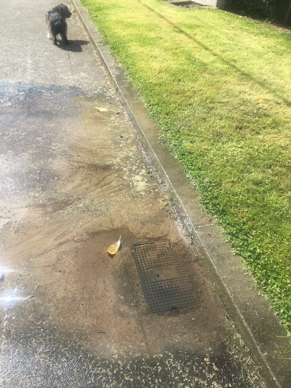 The photograph attached to this water leak report